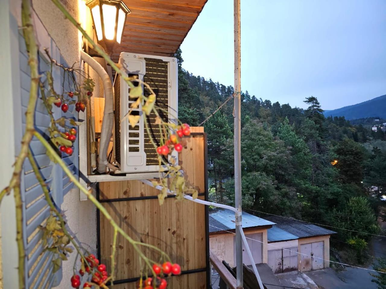 Guest House Likani 2017 Borjomi Room photo