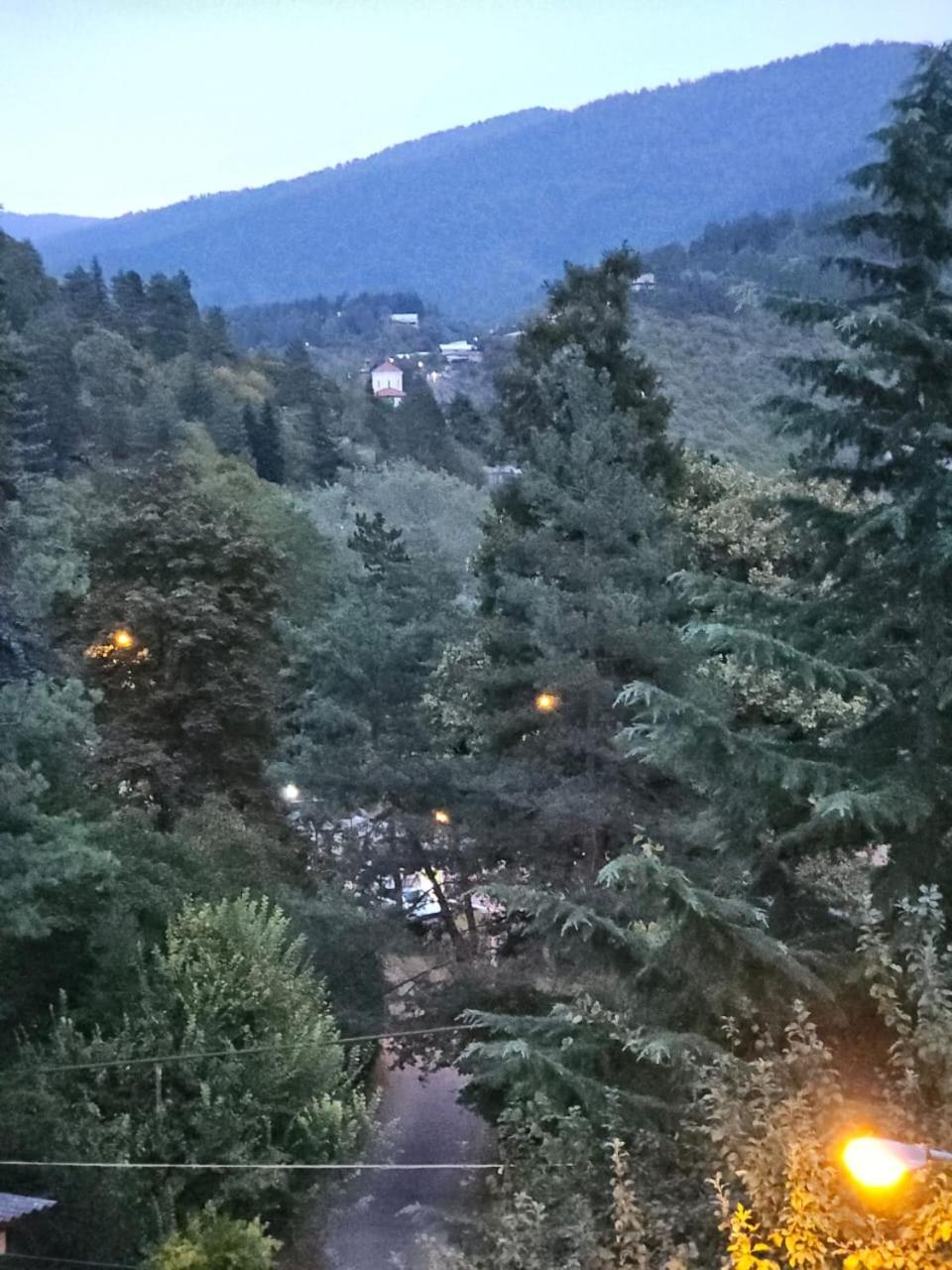Guest House Likani 2017 Borjomi Room photo