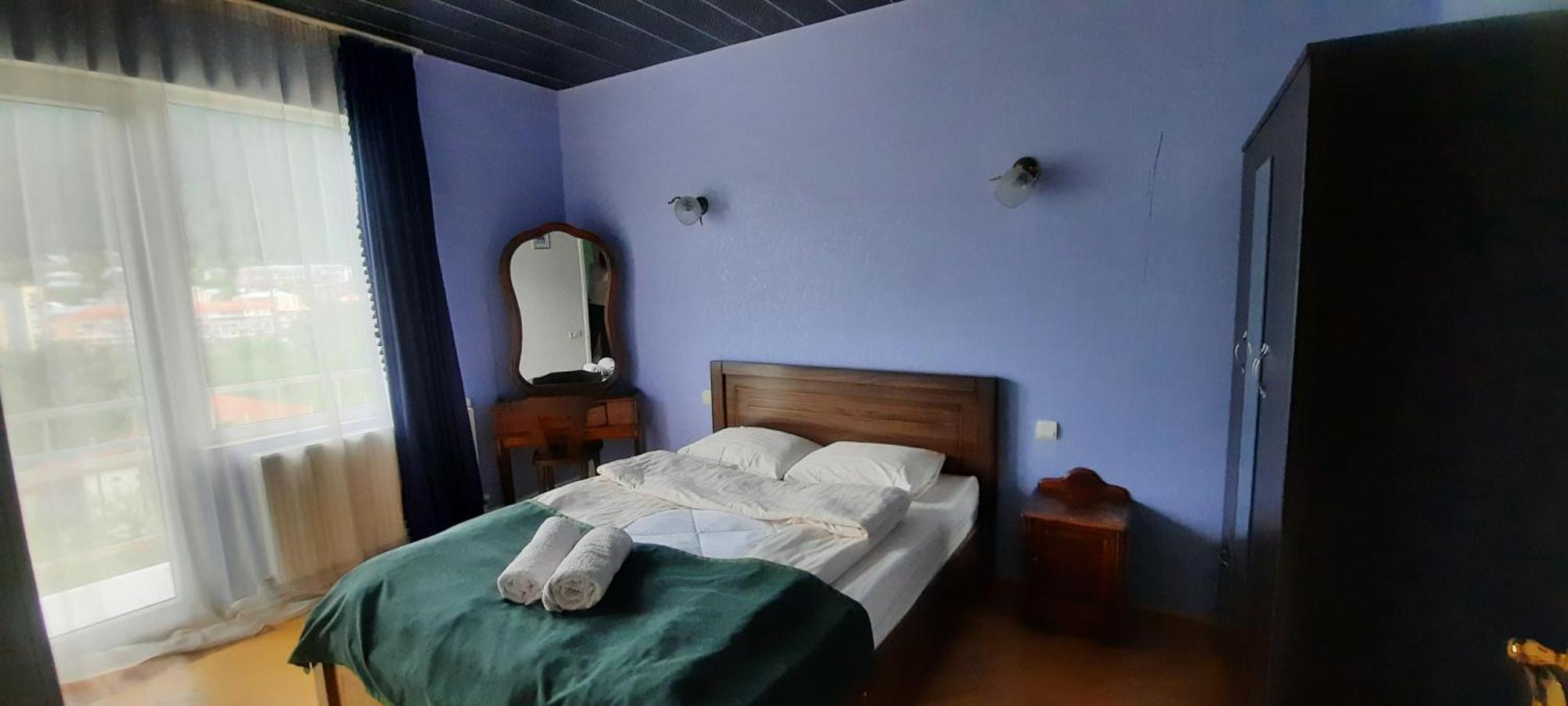 Guest House Likani 2017 Borjomi Room photo