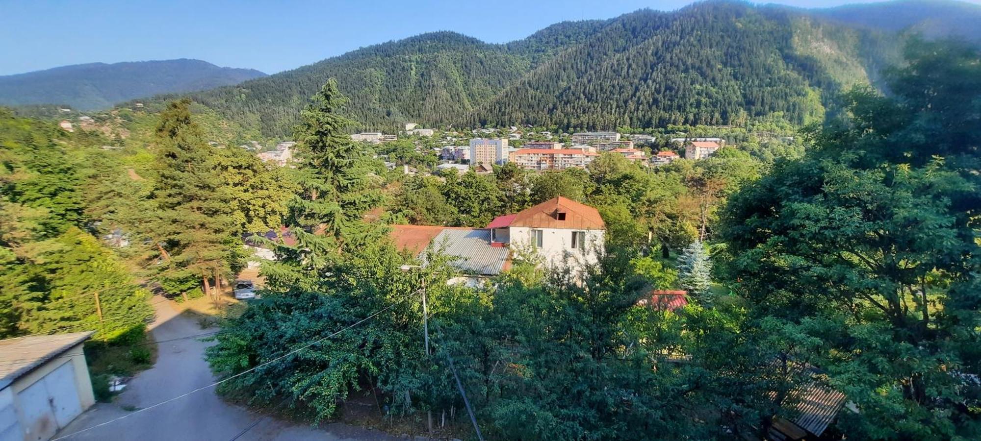 Guest House Likani 2017 Borjomi Room photo